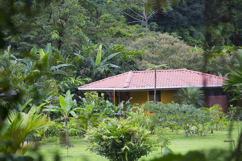 Hotel Catarata Rio Celeste Bijagua Exterior foto