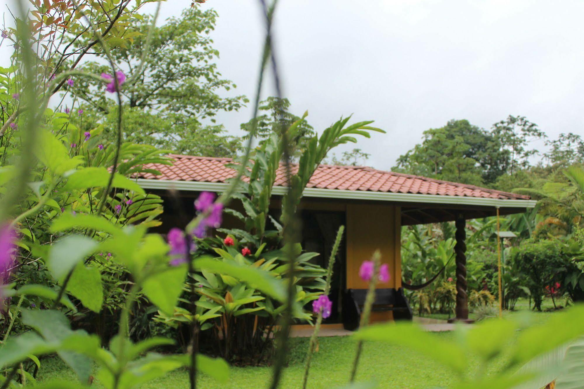 Hotel Catarata Rio Celeste Bijagua Exterior foto