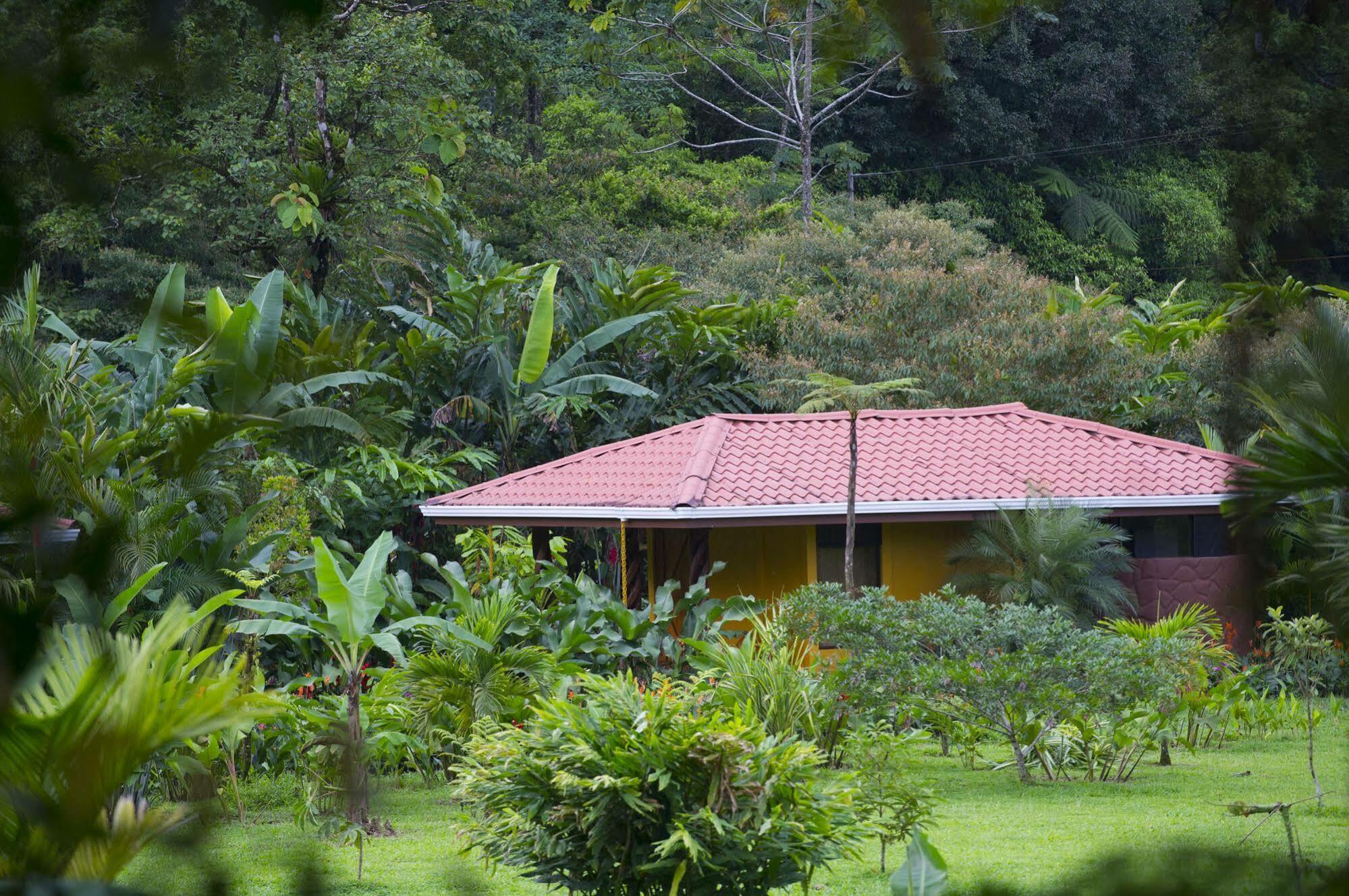 Hotel Catarata Rio Celeste Bijagua Exterior foto