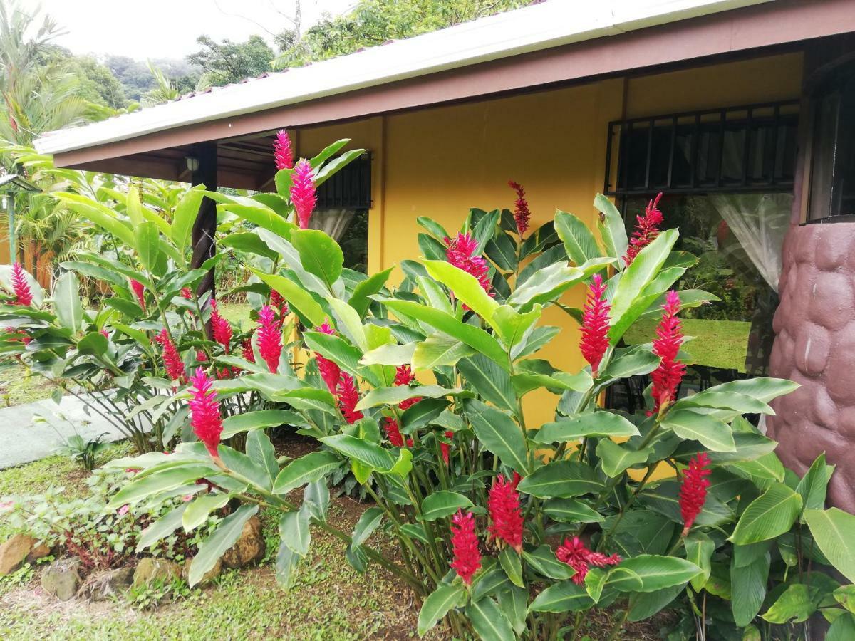 Hotel Catarata Rio Celeste Bijagua Exterior foto
