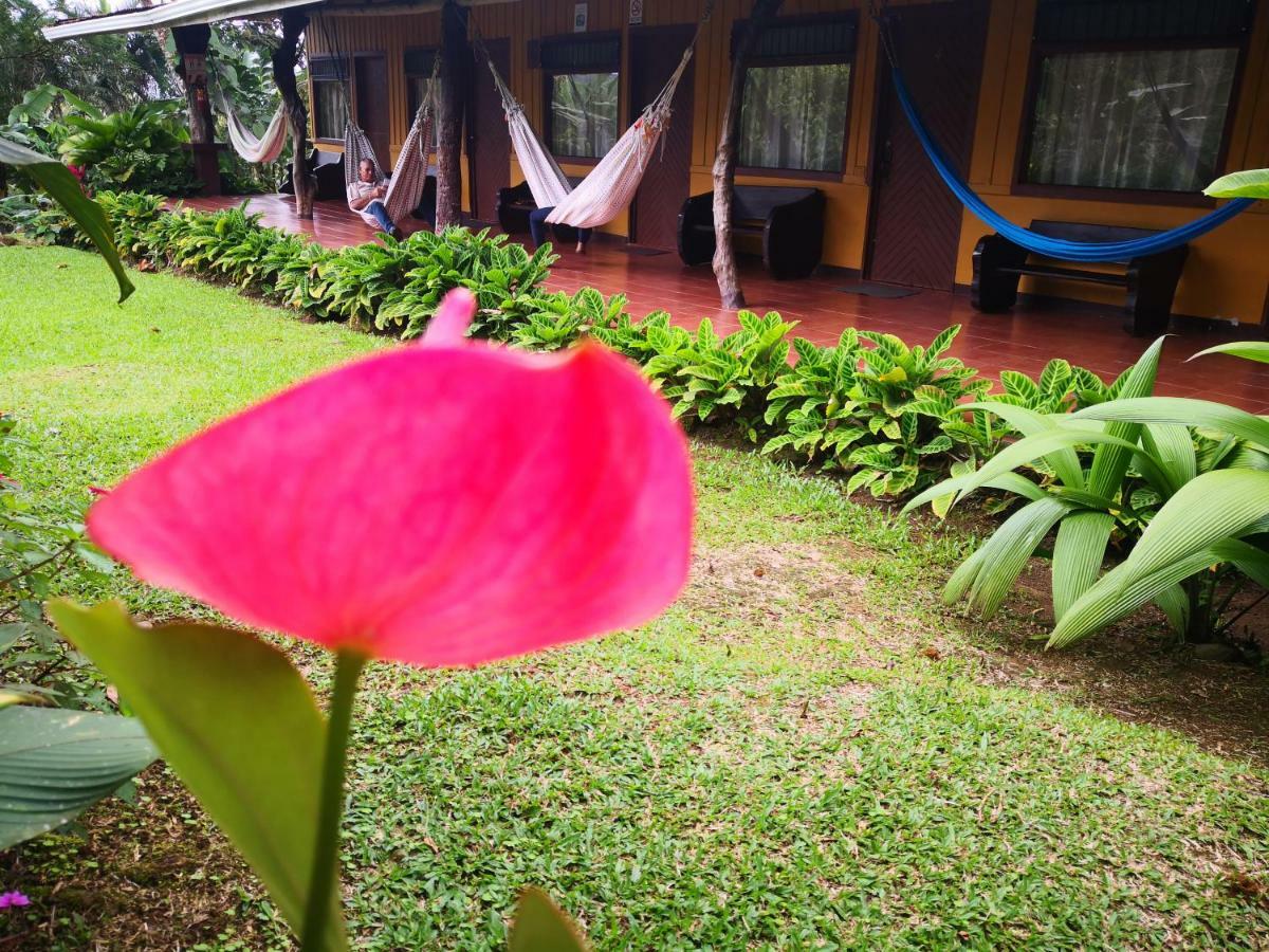 Hotel Catarata Rio Celeste Bijagua Exterior foto