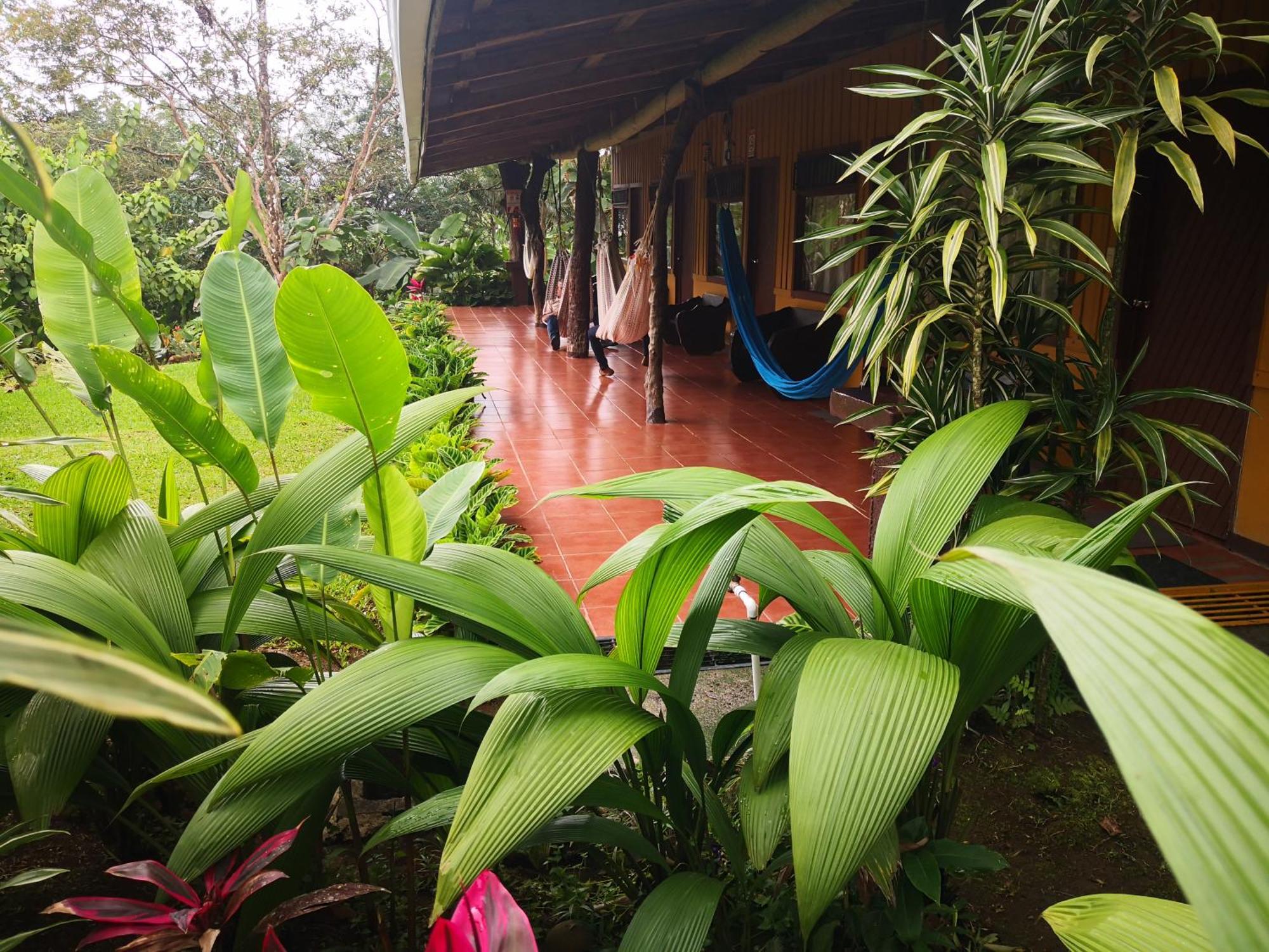 Hotel Catarata Rio Celeste Bijagua Exterior foto